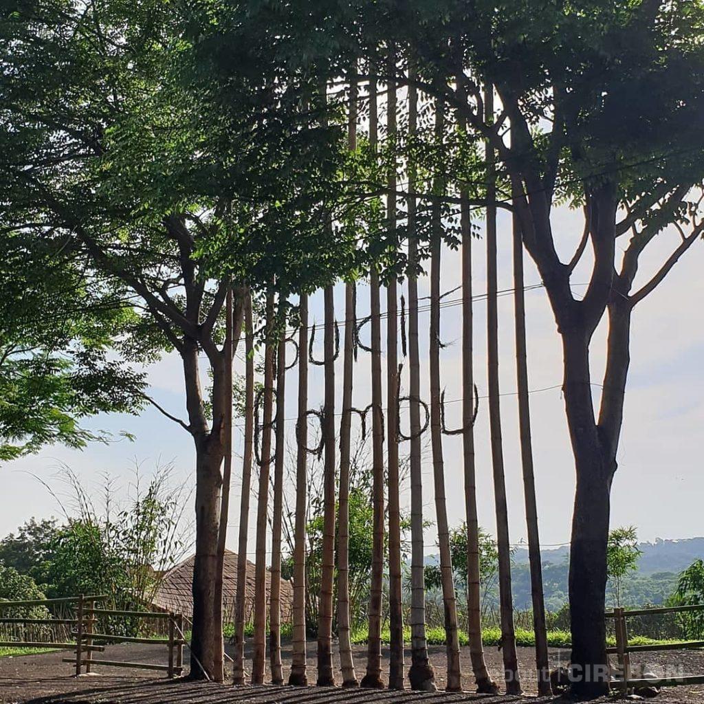 Mengenal Lebih Dekat Wisata Edukasi Bukit Bambu Cirebon