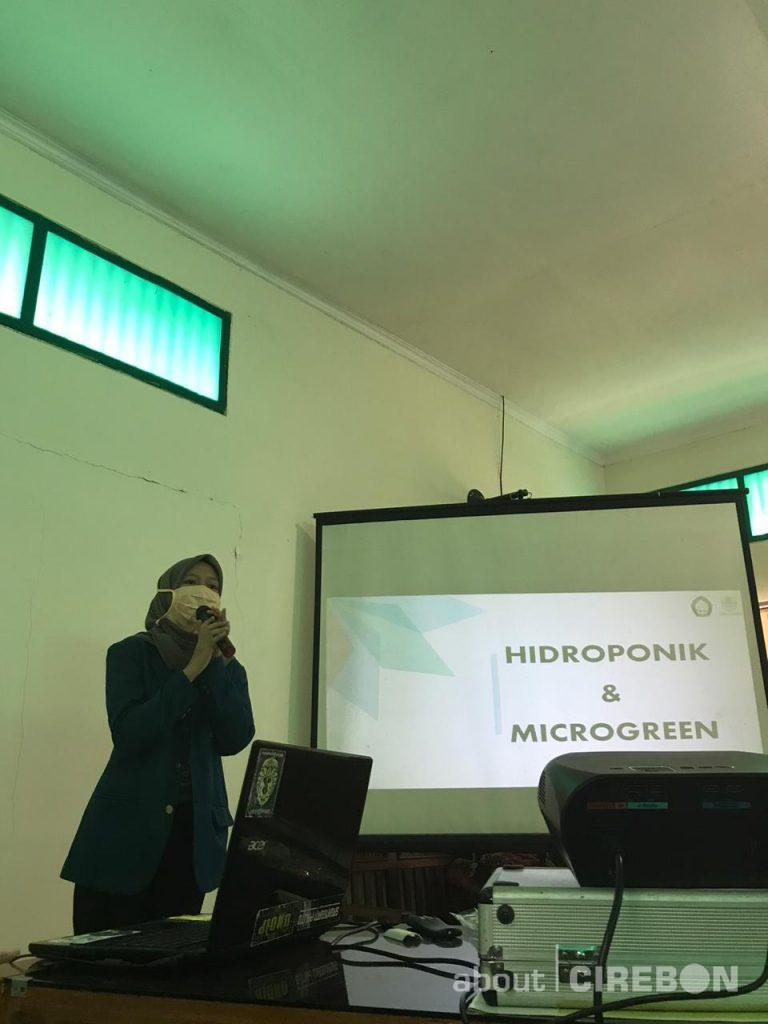 Mahasiswa KKN UNDIP Kota Cirebon Ajarkan Cara Budi Daya Microgreen⁣