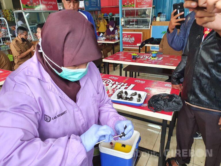 Sample Burung Pipit Mati Mendadak di Balaikota Cirebon akan Dites dengan Metode PCR
