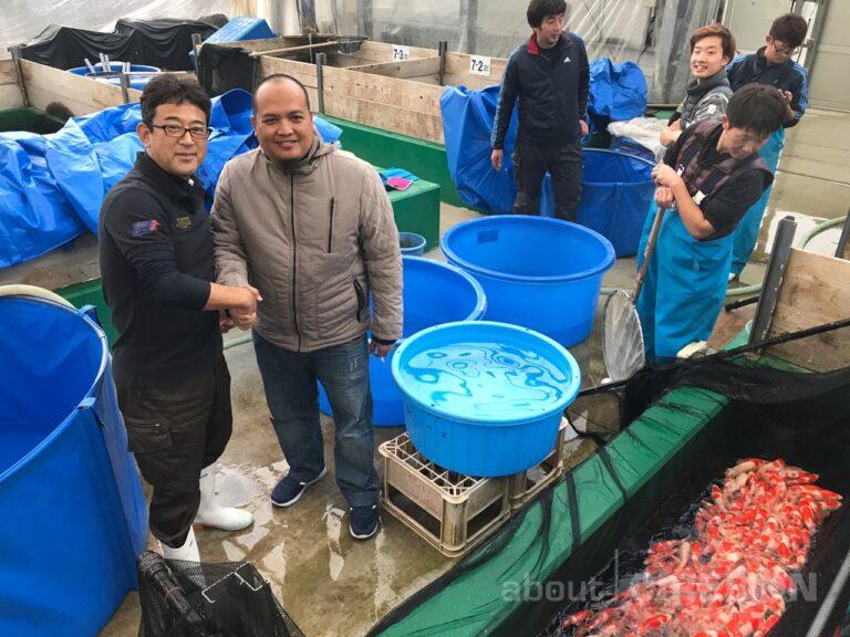 Pria Asal Cirebon ini Sukses Menjadi Importir Ikan Koi