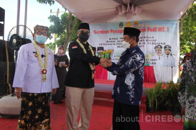Kunjungi Kabupaten Cirebon, Wakil Menteri Pertanian Ajak Petani Gunakan Mesin Pertanian Modern