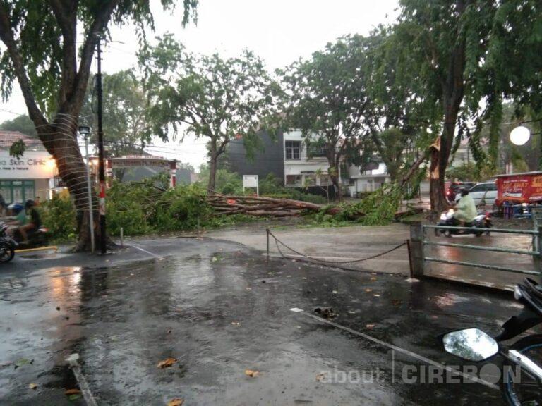 Hujan Deras di Kota Cirebon, Tumbangkan Pohon dan Timpa Pengendara