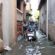 Banjir Rob di Kesunean Cirebon Masuk ke Pemukiman Warga