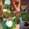 Waroeng Spesial Sambal Jadi Salah Satu Tempat Tujuan Makan Terlaris di Kota Cirebon